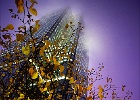 2209 Esplanade Défense IP